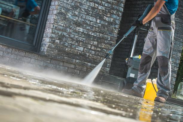 Best Fence Cleaning and Maintenance in Lineville, AL